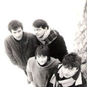 Stidljiva Ljubičica 