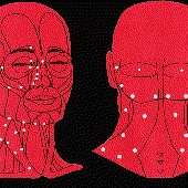 Avatar for adam_barnett