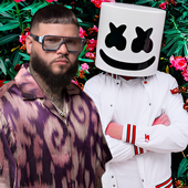 Marshmello & Farruko.png