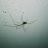 6AFFE8D8-2F03-40D1-A5D5-EABF08427F12.jpeg