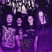 Epicardiectomy