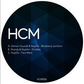 Blueberry Junction - Single