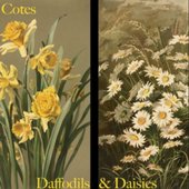 Daffodils & Daisies - Single