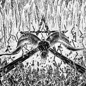 Celestial Bodies - Spit Forth From Chaos (2017)