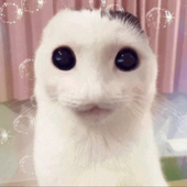 Avatar für zyplos