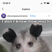 sixcfcrows 的头像