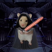 DarthHamster02 的头像