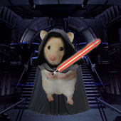 DarthHamster02 için avatar