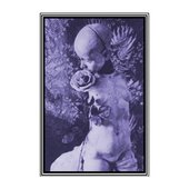 Corvus