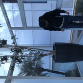 IMG_3540.jpeg