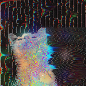 wh0o7 的头像