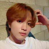 bearshapedsun 的头像