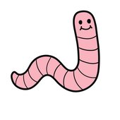Worm