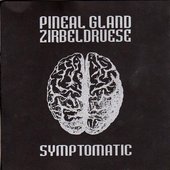 Pineal Gland Zirbeldruese