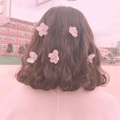 lolibun 的头像