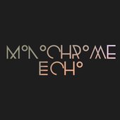 Monochrome Echo Logo