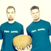 pan-sonic.jpg