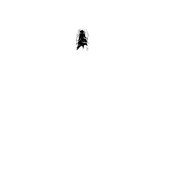 IF.png