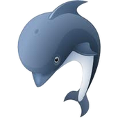 delfinn55 的头像