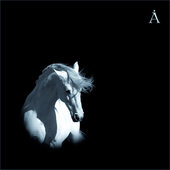 Avatar for Nogot