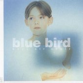 Blue Bird