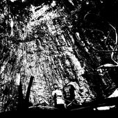 cover3.jpg