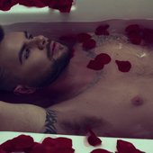 Bed Of Roses