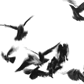 Avatar de Constellater