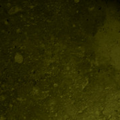 Pavel Madurov header