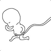 Avatar for Faposlav