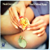 Black Velvet Rose