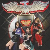 Kamen Rider Girls 11.jpg