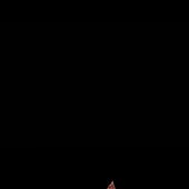 another-magbay-phone-wallpaper-v0-795nruf1bpid1.jpeg