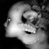 Avatar for dancingbacteria