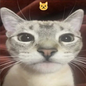electroprincesa 的头像