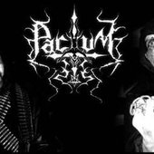 Pactum (Bra)