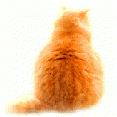 Avatar für OrangeCats