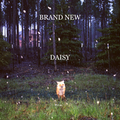 brand_new_cover6x6.png