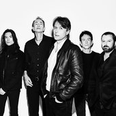 Suede.jpg