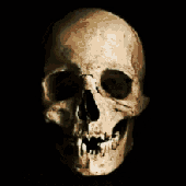skullshakerz 的头像