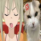 aeicsu 的头像