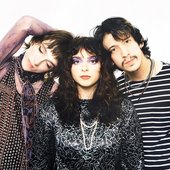 The Velveteers