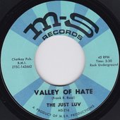 Valley Of Hate / Good Good Lovin'