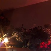 IMG_0806.JPG