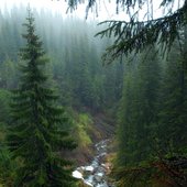 Ukraine. Carpathians