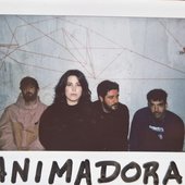 Animadora