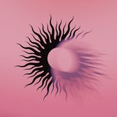 Silver Bleeds the Black Sun...