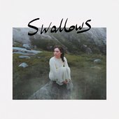 Swallows