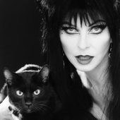 Avatar for belialkitty