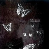 An Inaudible Voice - Single